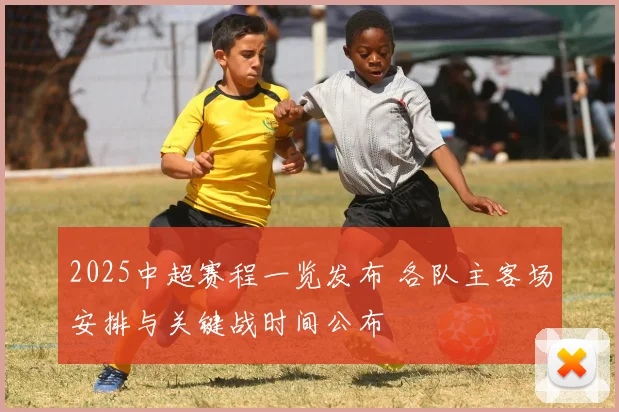 2025中超赛程一览发布 各队主客场安排与关键战时间公布