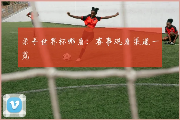 杀手世界杯哪看:赛事观看渠道一览